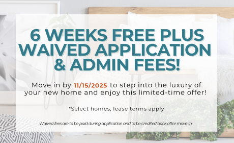 image for /shared/images/the-forum-popup-gchnqnfk.png