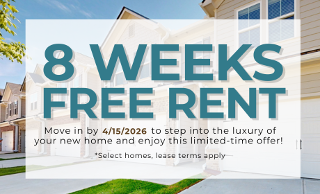 image for /shared/images/the-forum-popup-shpan35v.png